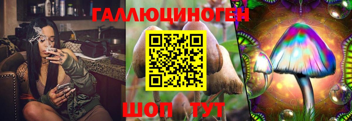 Псилоцибиновые грибы GOLDEN TEACHER Уварово